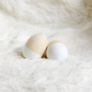 Duo Egg Shakers