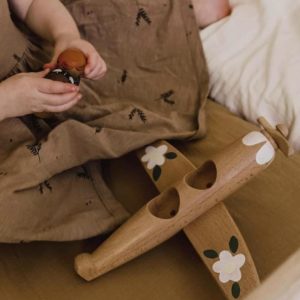Wooden Airplane with Passengers