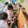 Which kindergarten to enroll your child